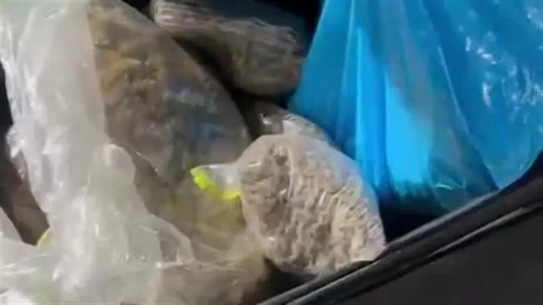 Major smuggling in Cyprus: Israeli and Palestinian arrested aboard luxury yachts