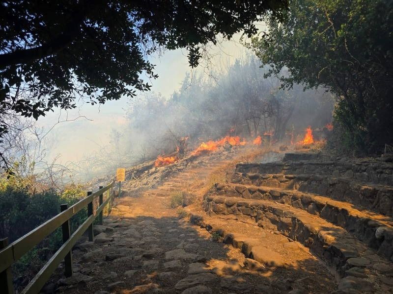 Tel Dan ablaze: Firefighting tractors and Elyad squadron contain flames