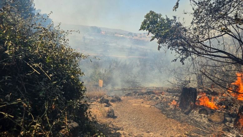 Raging Fire in Galilee: Visitors Evacuated From Tel Dan Nature Reserve
