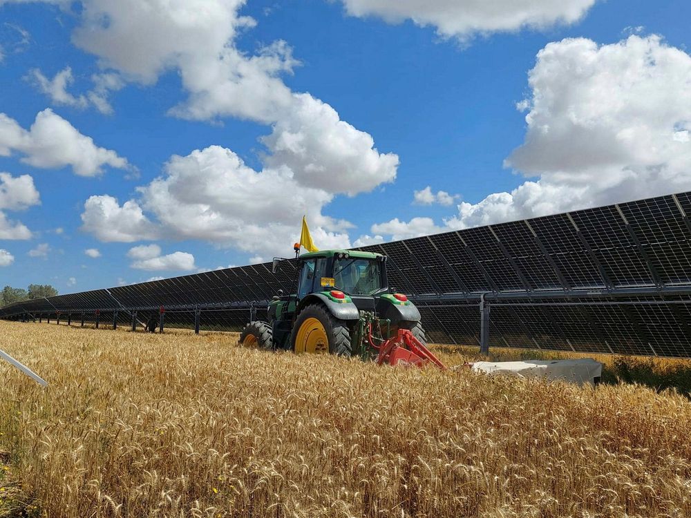 Government Cooperation Expected to Speed Up Solar Facilities on Agricultural Fields