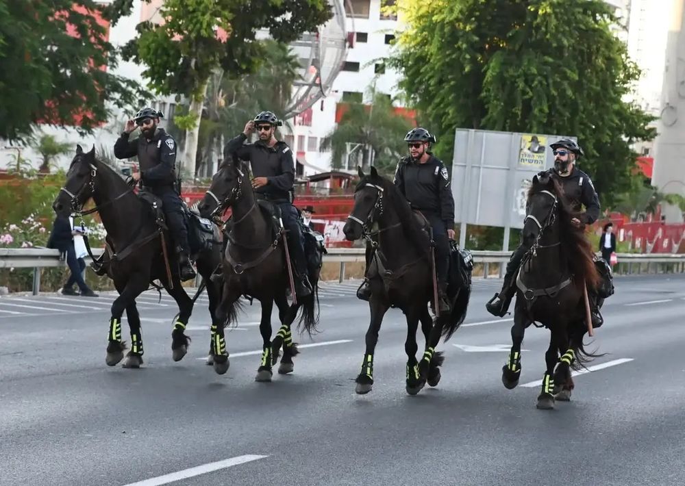 Police Revised Procedure for Using Horses in Protests, Dangerous Practices Remain
